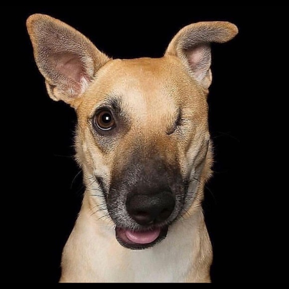 Meet your Posher, Joshua - Picture 1 of 1